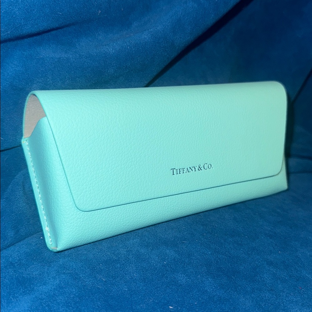 Tiffany & Co. Aqua Leather Eyewear Holder mint condition